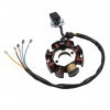250cc magneto stator