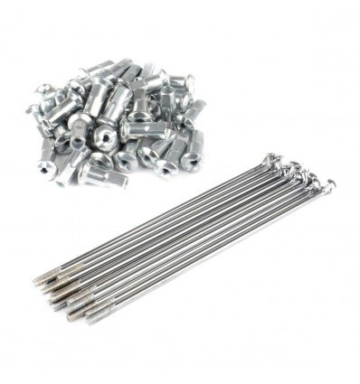 Kit of 32 spokes for rear or front rim 12. 