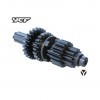 YCF Lite 125cc Gearbox