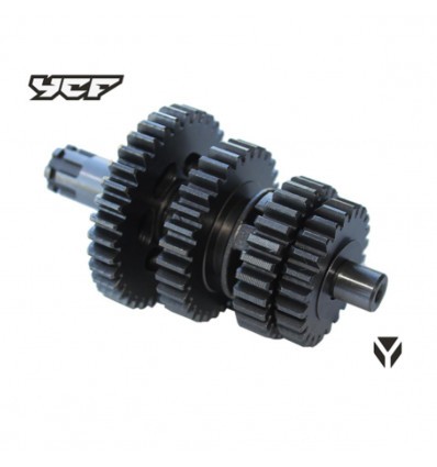 YCF Lite 125cc Gearbox