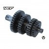 YCF Lite 125cc Gearbox
