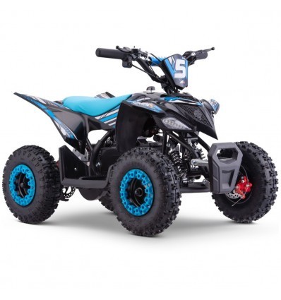 Miniquad Eletrica 800w