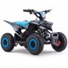 Miniquad Eletrica 800w