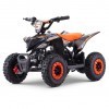 Miniquad Eletrica 800w