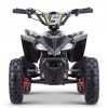 Miniquad Eletrica 800w
