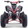 Miniquad Panter 110cc Automatic