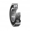 SKF 16101 Swingarm Bearings