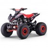 Miniquad Panter 110cc Automatic