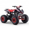 Miniquad Panter 110cc Automatic