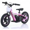Bicicleta Eletrica 100w Roda 12"