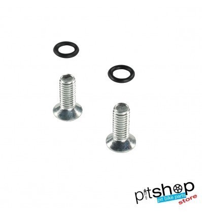 Kit 2 Screws Magnetic Plate