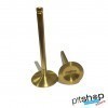 TITANIUM GOLD VALVES YX 140cc