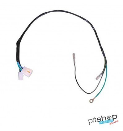 DAYTONA ANIMA WIRING HARNESS