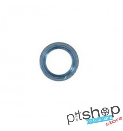 DAYTONA ANIMA INTERMIDIATE SHAFT WASHER