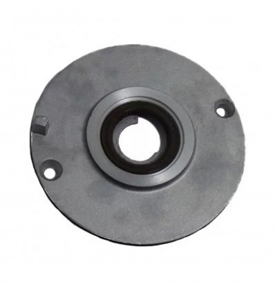Starter Pulley Support Plate ZS190