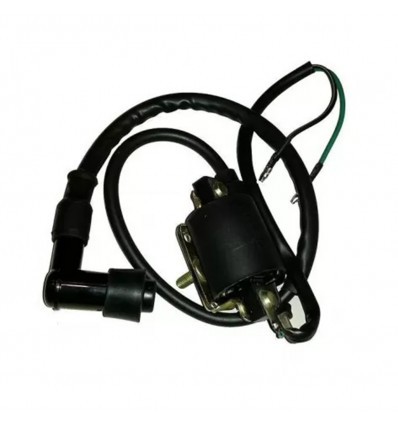 Original Ignition Coil With Conexion Cables