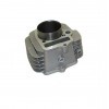 YX Cylinder + Piston Set