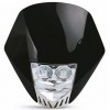 Black LED Headlight