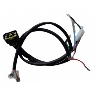Electrical Wiring For ZS 155cc Engine CDI Pit Bike Connection