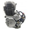 ZS250cc Engine